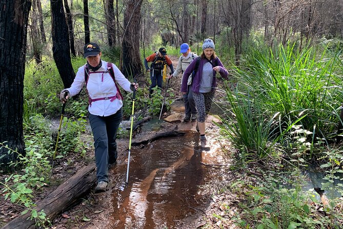 Collie Hike, Wine & Dine Experience - Complimentary Hiking Equipment