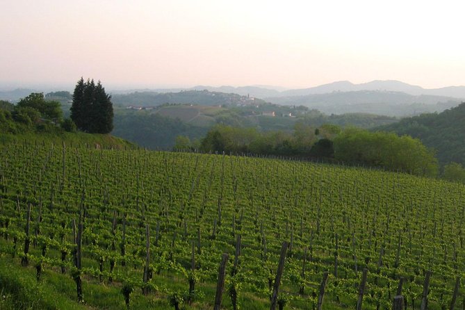 Collio: Cividale Del Friuli and Wine Tastings From Trieste - Scenic Locations Explored