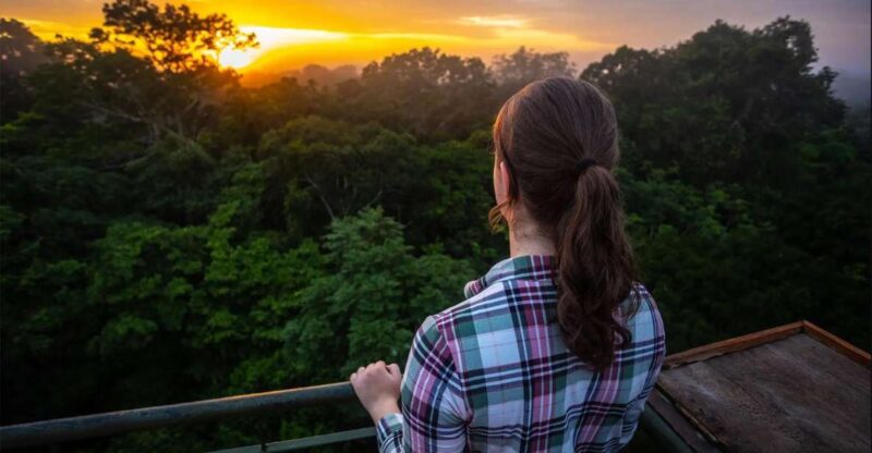 Collpa Guacamayo 2D Excursion | Jungle Sunset | - Itinerary Highlights