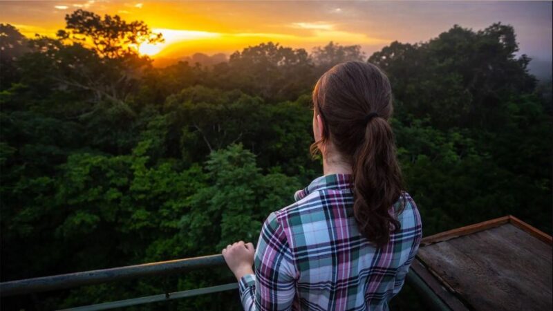 Collpa Guacamayo 2D Excursion | Jungle Sunset | - Day 1 Activities