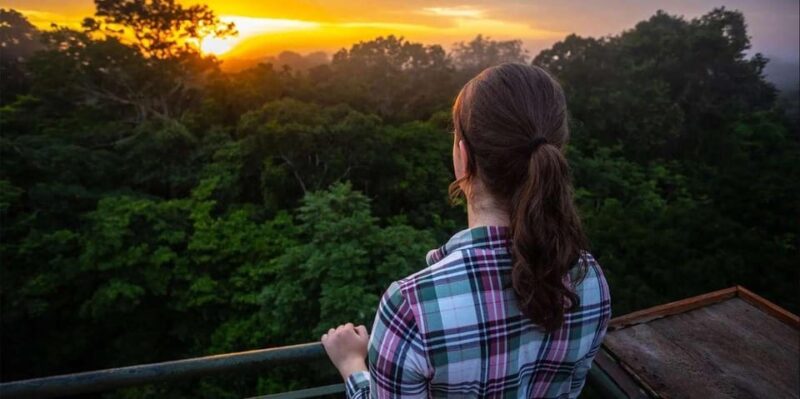Collpa Guacamayo 2D Excursion | Jungle Sunset | - Booking Information
