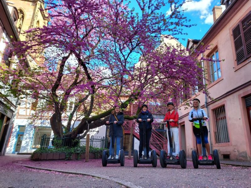 Colmar: 2-Hour Segway Tour - Restrictions