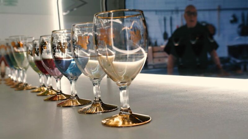 Colmar: Alsace Wine Museum Entrance Ticket - Experience Highlights
