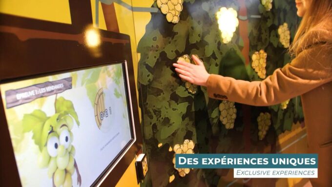 Colmar: Alsace Wine Museum Entrance Ticket - Accessibility Information