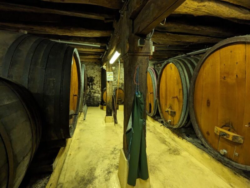 Colmar: Highlights Walking Tour and Wine Tasting - Discovering Renaissance and Gothic Architecture