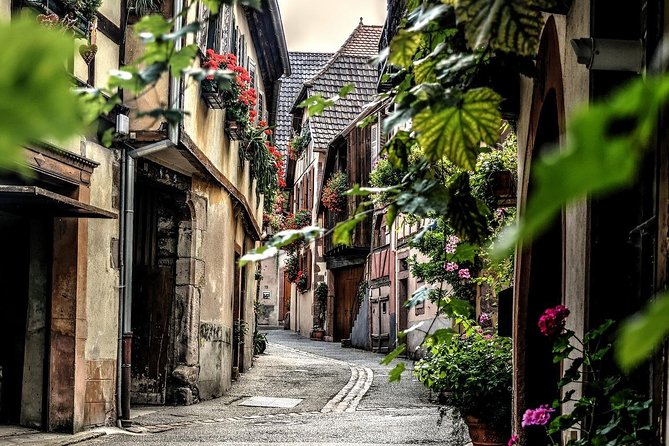 Colmar: Private Guided Walking Tour of the Historical Center - Accessibility