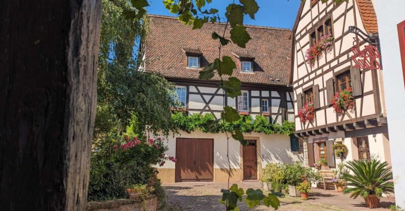 Colmar: Unusual Walking Tour With a Local Guide - Delving Into the Life of Local People in the Middle Ages