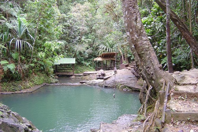 Colo-i-Suva Waterfall Tour (Suva) - Health and Safety Guidelines