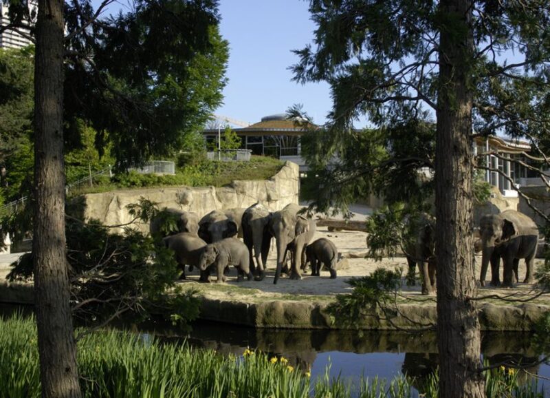 Cologne: Cologne Zoo and Aquarium Entry Ticket - Explore the Cologne Aquarium
