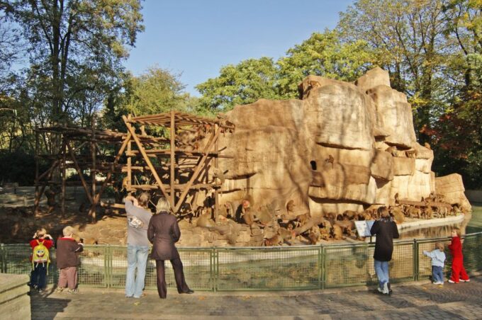 Cologne: Cologne Zoo and Aquarium Entry Ticket - Pet Farmyard Animals at Clemenshof