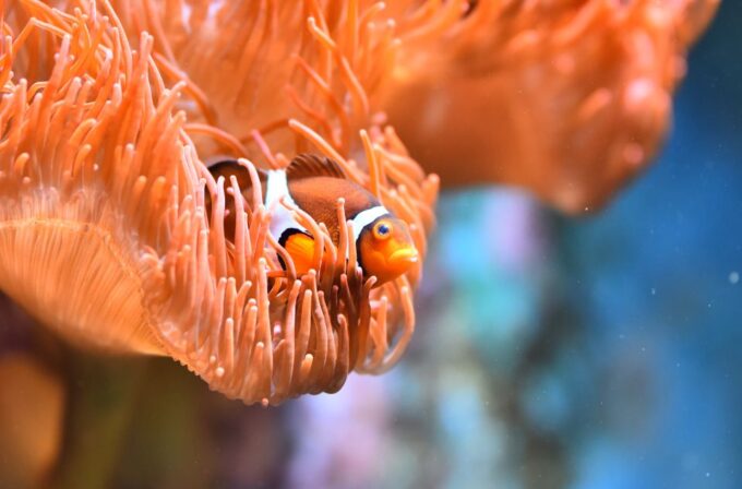 Cologne: Cologne Zoo and Aquarium Entry Ticket - Frequently Asked Questions