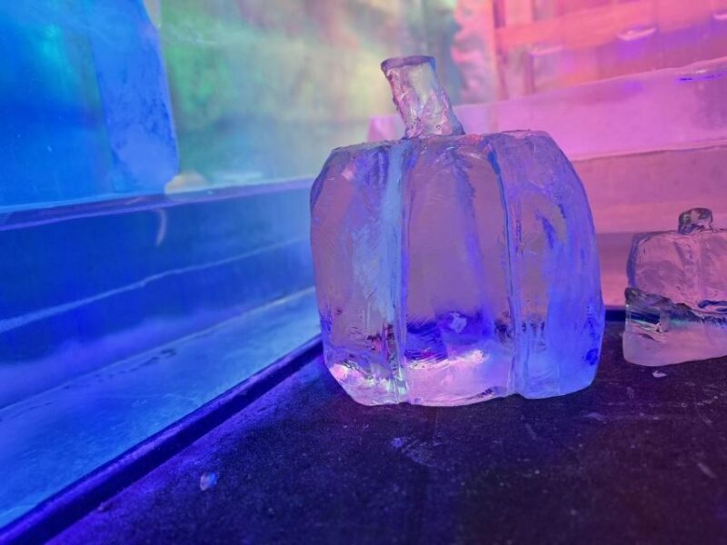 Cologne: Icebar Entry Ticket With Drinks - Inclusions and Highlights