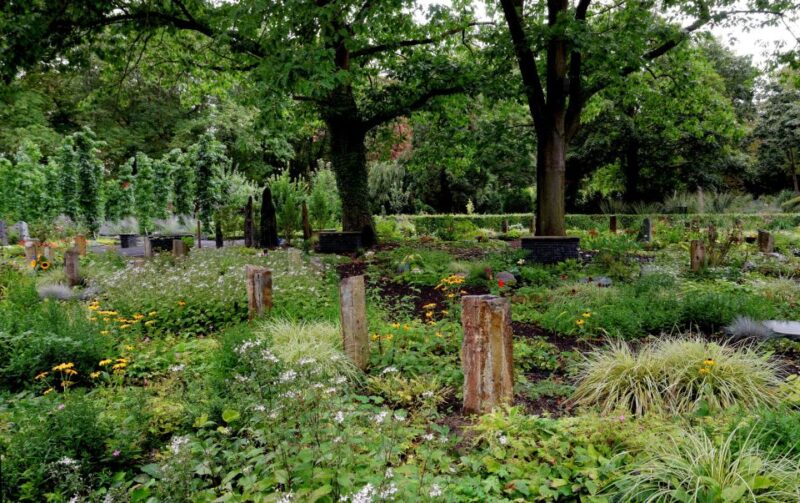 Cologne: Melaten Cemetery With Old Town Private Tour - Meeting Point