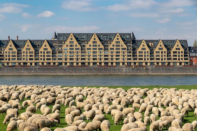 Cologne Private Full-Day Sightseeing Tour From Amsterdam - Pickup and Drop-off