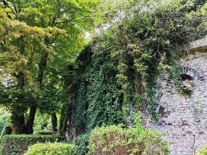Cologne Volksgarten Audio Rally by P.I. Sir Peter Morgan - Key Points