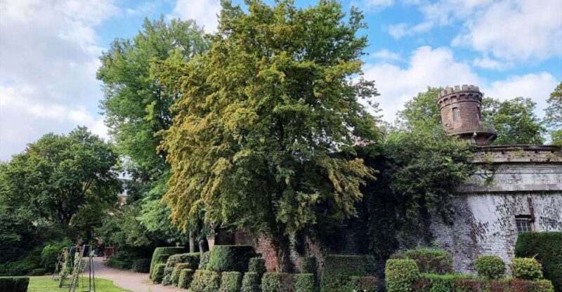 Cologne Volksgarten Audio Rally by P.I. Sir Peter Morgan - Historic Sites and Hidden Areas