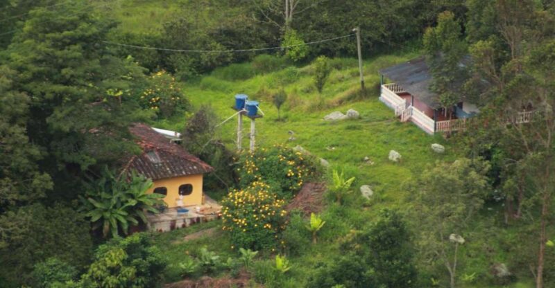 Colombia: Being a Collector of Wild Edible Plants - Experience Highlights