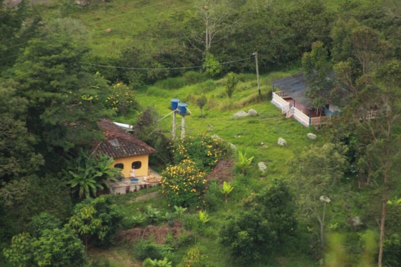 Colombia: Being a Collector of Wild Edible Plants - Participant Information