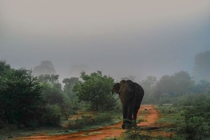 Colombo: 2-Day Cultural Highlights & Heritage Sites Tour - Accommodation Details
