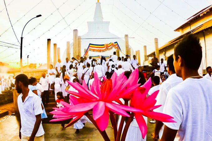 Colombo: 8-Day Private Cultural Triangle & Wildlife Trip - Pickup and Cancellation