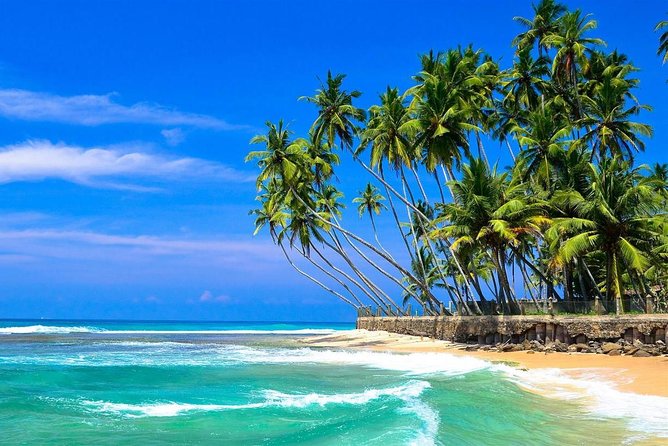 Colombo Airport to Hikkaduwa (Private Arrival Transfer) - Pickup and Drop-off