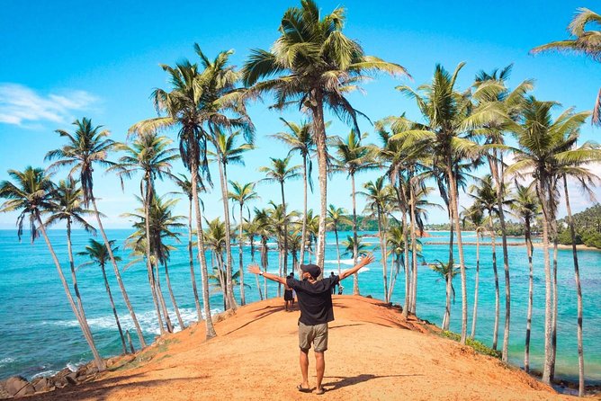 Colombo Airport to Mirissa (Private Arrival Transfer) - Traveler Reviews and Ratings