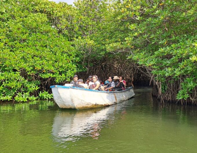 Colombo Airport Tour /06 Days Sri Lanka Tour Package - Accessibility and Flexibility