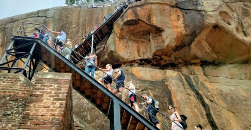 Colombo: All Inclusive Sigiriya & National Park Day Safari - Key Points