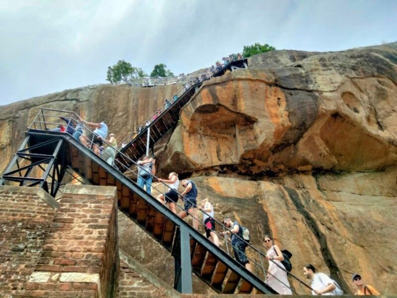 Colombo: All Inclusive Sigiriya & National Park Day Safari - Pricing Details