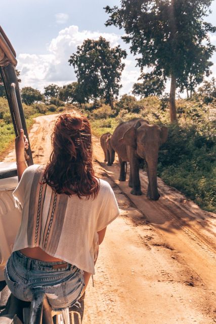 Colombo: All Inclusive Sigiriya & National Park Day Safari - Cultural Exploration