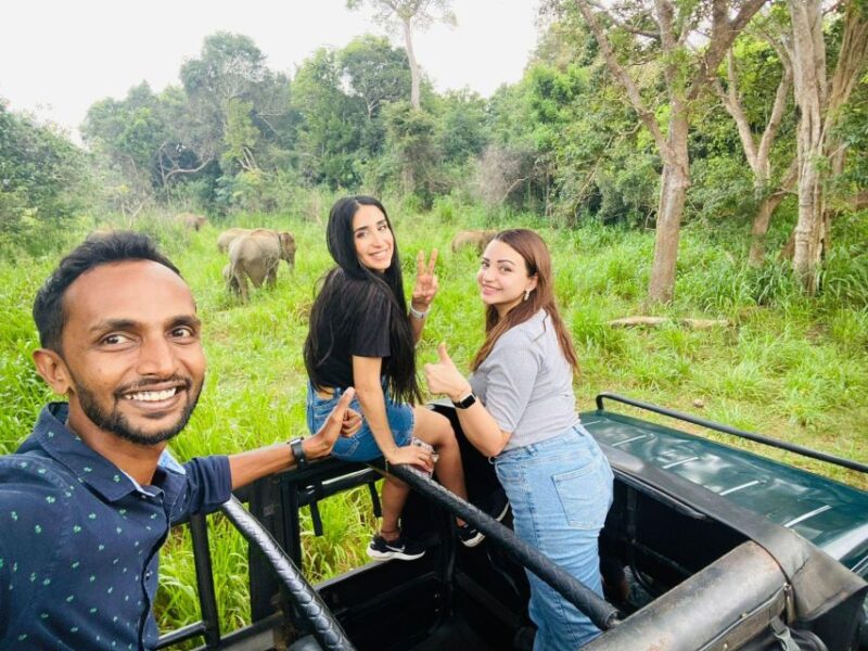 Colombo: All Inclusive Sigiriya & National Park Day Safari - Wildlife Appreciation