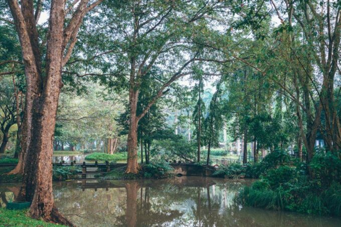 Colombo: All Inclusive Sigiriya & National Park Day Safari - Included Amenities