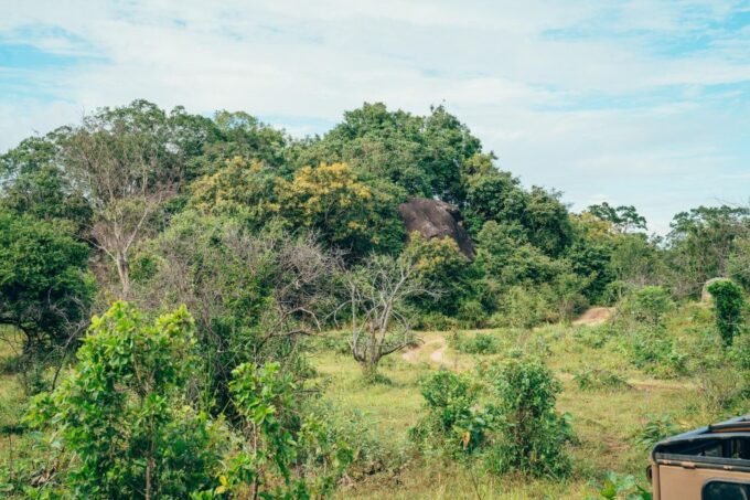 Colombo: All Inclusive Sigiriya & National Park Day Safari - Frequently Asked Questions