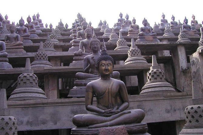 Colombo Buddhist Legend Tour Review - Recommended for Travelers
