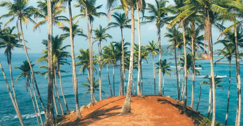 Colombo International Airport (CMB) Pick Up to Mirissa Beach - Key Points