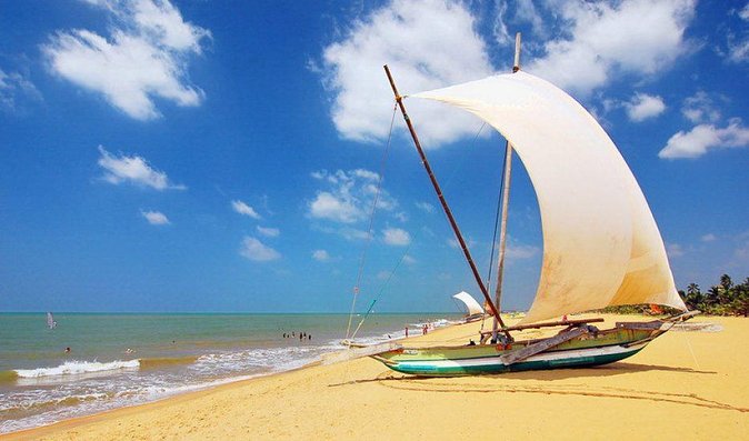 Colombo International Airport to Anywhere in Negombo-Transport Only - Key Points