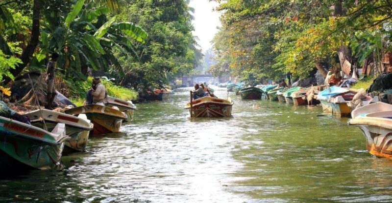 Colombo: Muthurajawela Wetland & Dutch Canal Boat Adventure - Wildlife and Ecosystem