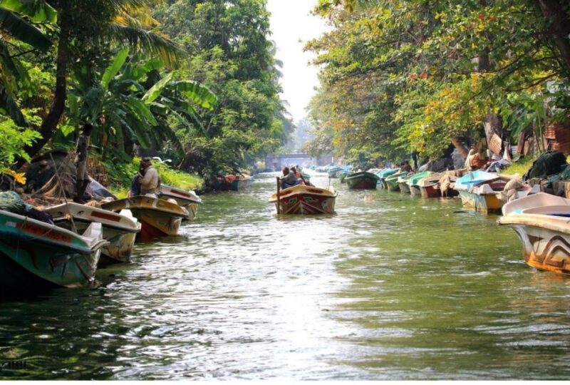 Colombo: Muthurajawela Wetland & Dutch Canal Boat Adventure - Frequently Asked Questions