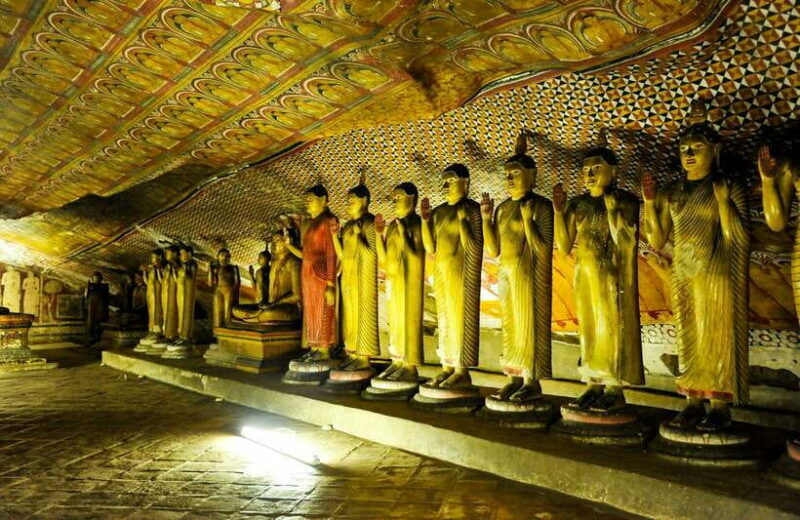 Colombo/Negombo: Sigiriya, Dambulla, and Minneriya Safari - What to Expect and Practical Tips