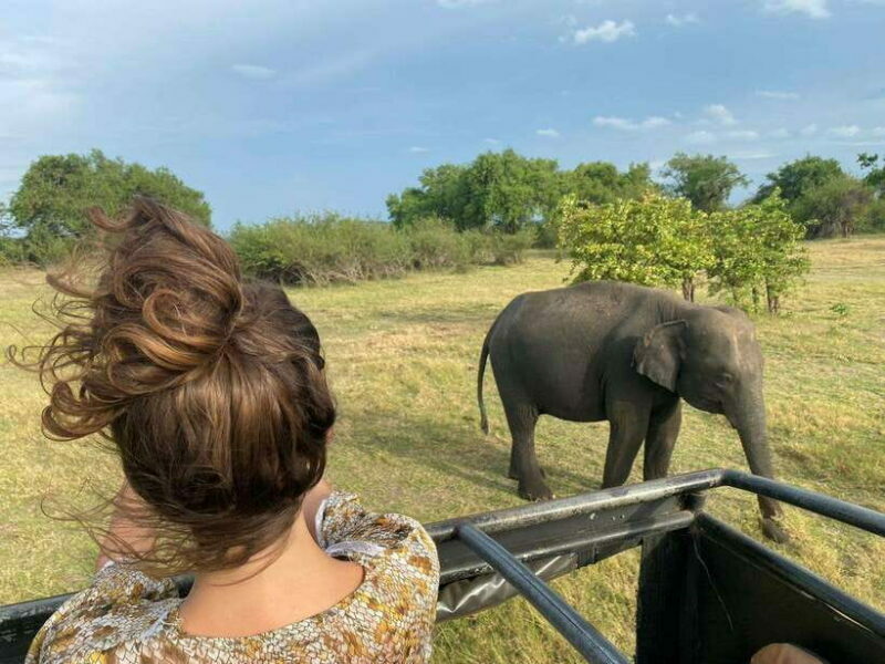 Colombo-Negombo : Sigiriya & Dambulla Cave Full-Day Tour - The Realities of the Experience