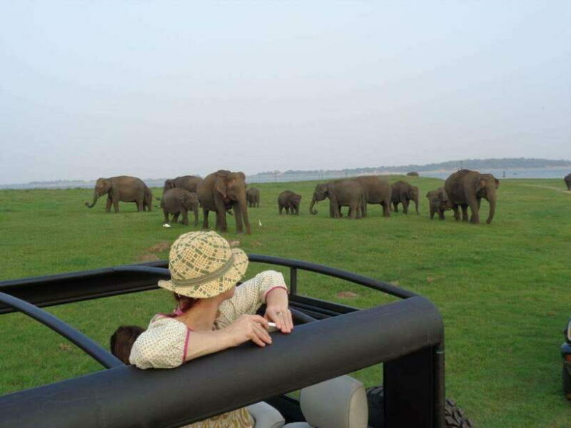 Colombo-Negombo : Sigiriya & Dambulla Cave Full-Day Tour - FAQ