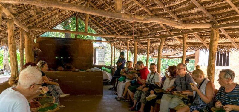 Colombo/Negombo: Sigiriya, Dambulla Cave, & Safari Day Tour - Itinerary Highlights