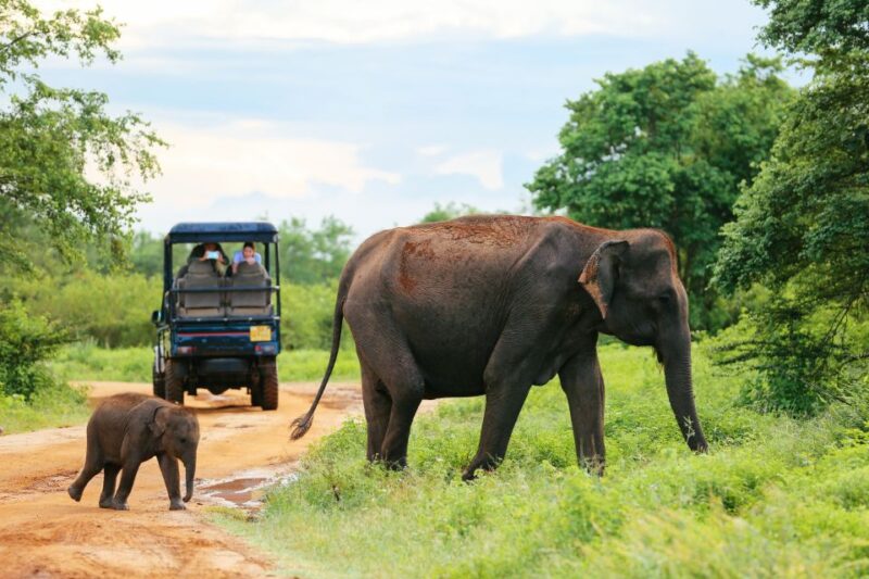 Colombo/Negombo: Sigiriya, Kandy, Ella 3-Day Trip With Train - Key Points