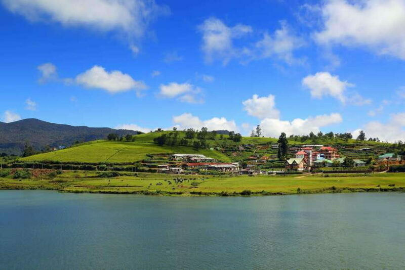 Colombo: Nuwara Eliya: Tea Gardens,Colonial Charm & High Tea - Discovering Sri Lanka’s Hill Country: A Day Trip from Colombo