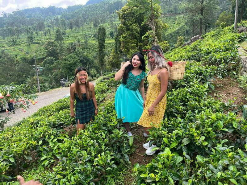 Colombo: Nuwara Eliya: Tea Gardens,Colonial Charm & High Tea - Analyzing the Value