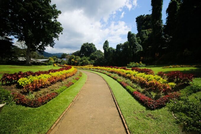 Colombo or Negombo: Temple of the Tooth Kandy Day Trip - Important Considerations