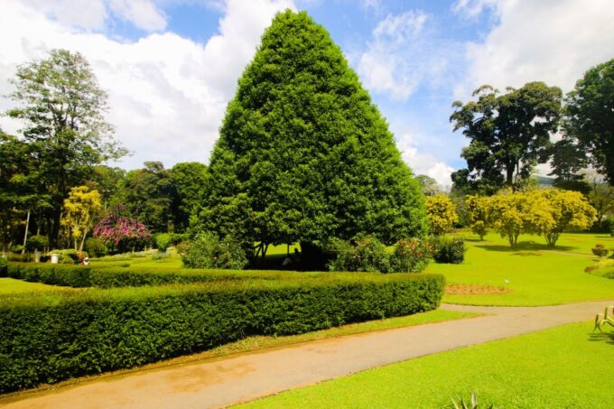 Colombo or Negombo: Temple of the Tooth Kandy Day Trip - Booking and Cancellation Policy