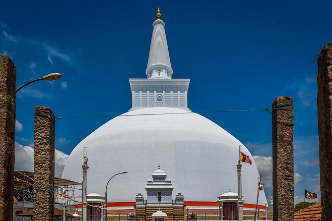 Colombo Port Private Shore Excursion and Tours - Customer Reviews and Ratings
