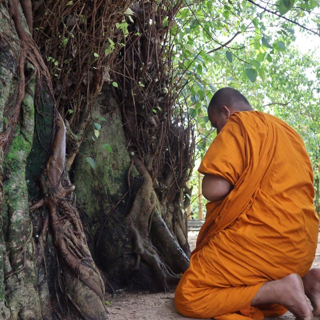 Colombo Port Shore Excursions Colombo City & Kalaniya Temple - Key Points