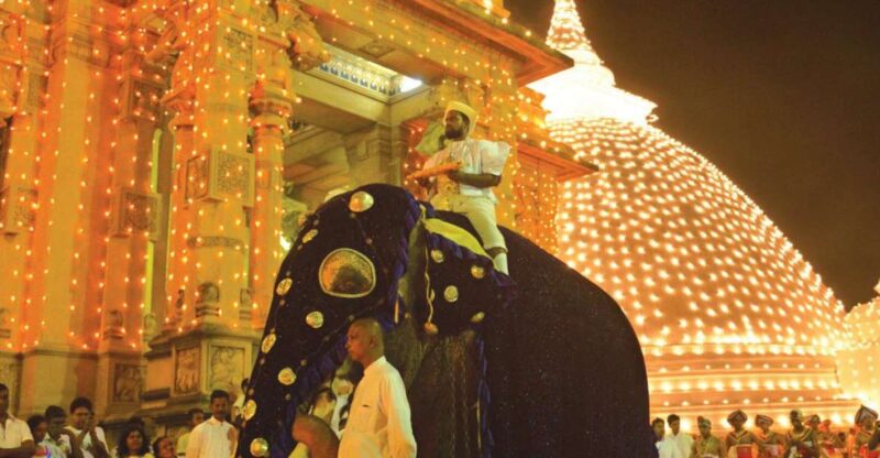 Colombo Port Shore Excursions Colombo City & Kalaniya Temple - Transportation and Guide